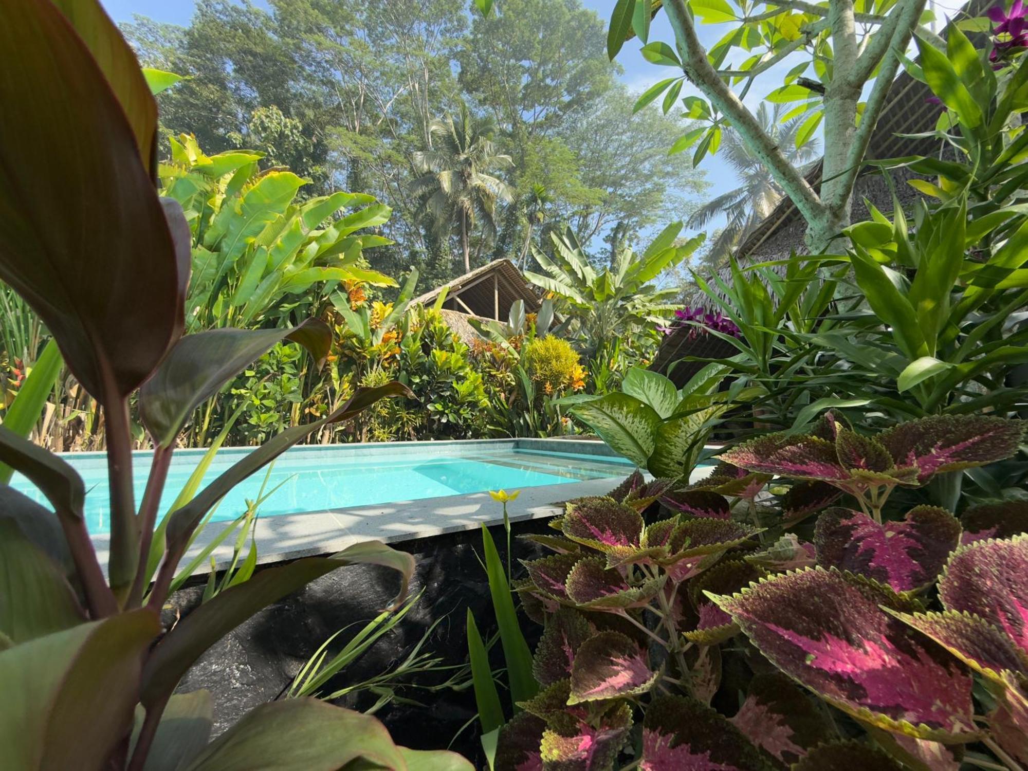 Rnv Eco Resort Bungalows Batukaras ภายนอก รูปภาพ