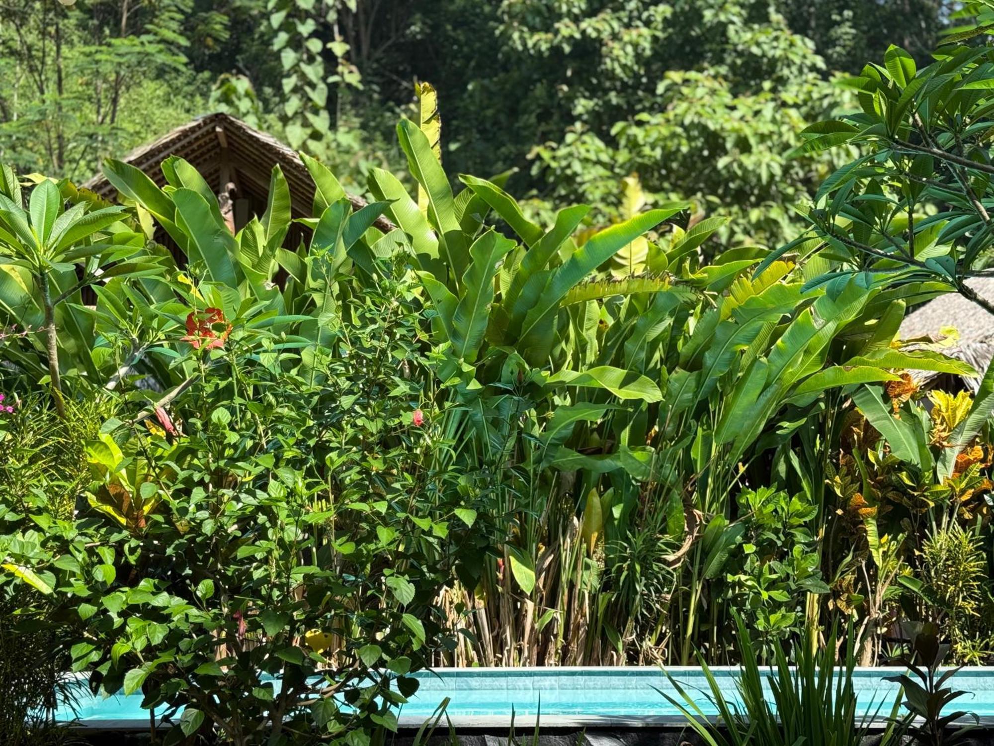 Rnv Eco Resort Bungalows Batukaras ภายนอก รูปภาพ